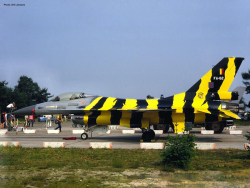ntm85-1
