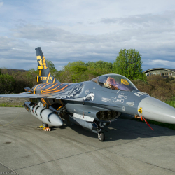 TigerMeet 2012