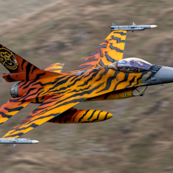 C92I2878-Edit Neil Johnson