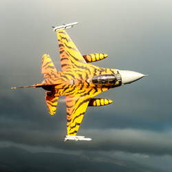 DSC_5903-Modifier