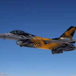 TIGER-2
