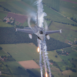 Copyright - Stefaan Ellebaut